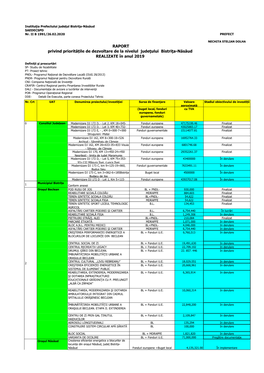 Raport-Investitii-2019.Pdf