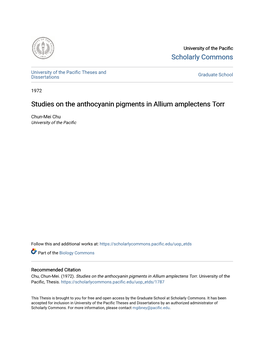 Studies on the Anthocyanin Pigments in Allium Amplectens Torr