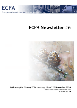 ECFA Newsletter #6