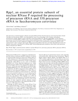 Rpp1, an Essential Protein Subunit of Nuclear Rnase P Required for Processing of Precursor Trna and 35S Precursor Rrna in Saccharomyces Cerevisiae
