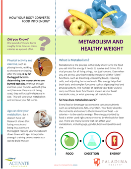Metabolism and Healthy Weight