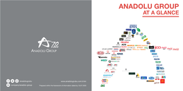 Anadolu Group at a Glance