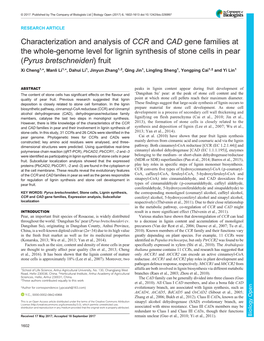 Characterization and Analysis of CCR and CAD Gene Families at the Whole