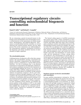 Transcriptional Regulatory Circuits Controlling Mitochondrial Biogenesis and Function