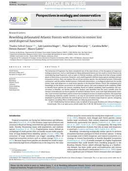 Rewilding Defaunated Atlantic Forests with Tortoises to Restore Lost Seed Dispersal Functions