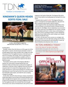 Kingman's Queen Heads Goffs Foal Sale