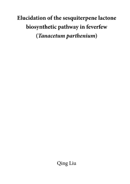 Elucidation of the Sesquiterpene Lactone Biosynthetic Pathway in Feverfew (Tanacetum Parthenium)