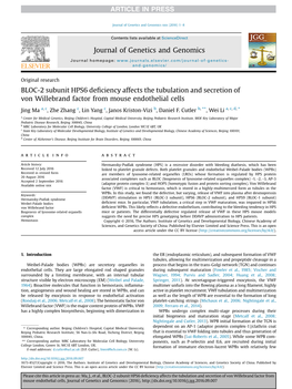 BLOC-2 Subunit HPS6 Deficiency Affects The