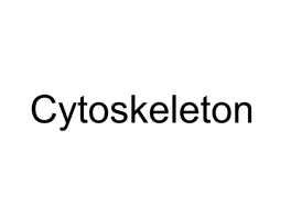 Intermediate Filaments • Microtubules 5.3 Eukaryotic Cells Contain Organelles