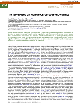 The SUN Rises on Meiotic Chromosome Dynamics
