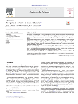 An Expanded Proteome of Cardiac T-Tubules☆