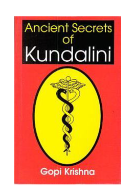 Kundalini and Consciousness Research