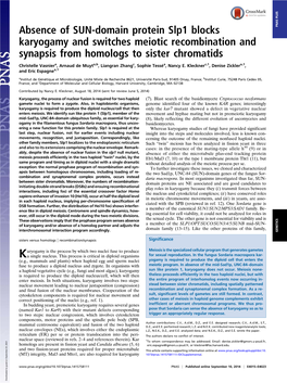 Absence of SUN-Domain Protein Slp1 Blocks Karyogamy and Switches