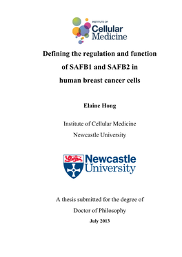 Defining the Regulation and Function of SAFB1 and SAFB2 in Human Breast Cancer Cells