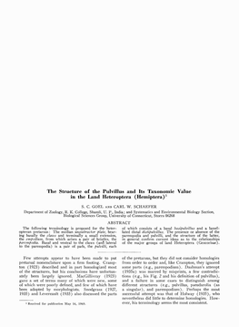 The Structure of the Pulvillus and Its Taxonomic Value in the Land Heteroptera (Hemiptera) '