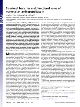 Structural Basis for Multifunctional Roles of Mammalian Aminopeptidase N