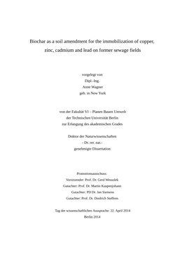 Biochar As a Soil Amendment for the Immobilization of Copper, Zinc, Cadmium and Lead on Former Sewage Fields