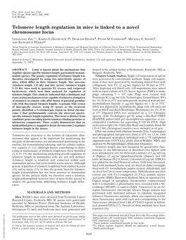 Telomere Length Regulation in Mice Is Linked to a Novel Chromosome Locus