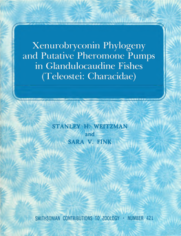 Xenurobryconin Phylogeny and Putative Pheromone Pumps in Glandulocaudine Fishes (Teleostei: Characidae)