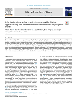 Reduction in Urinary Oxalate Excretion in Mouse Models of Primary Hyperoxaluria by RNA Interference Inhibition of Liver Lactate Dehydrogenase T Activity