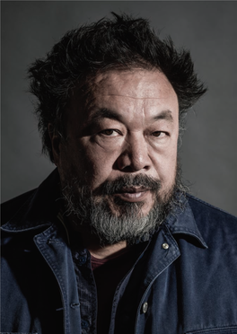 CR14-Aiweiwei.Pdf