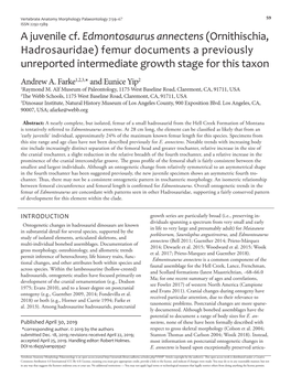 Edmontosaurus Annectens (Ornithischia, Hadrosauridae) Femur Documents a Previously Unreported Intermediate Growth Stage for This Taxon Andrew A