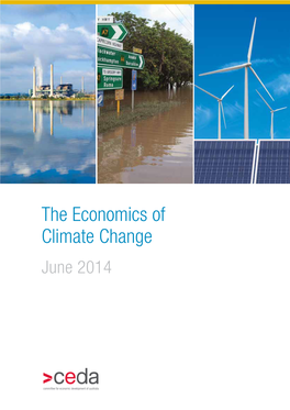 The Economics of Climate Change