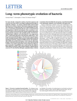 Long-Term Phenotypic Evolution of Bacteria