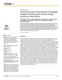 Genetic Diversity and Distribution of Senegalia Senegal (L.) Britton Under Climate Change Scenarios in West Africa