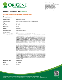 CEACAM7 (NM 006890) Human Untagged Clone Product Data