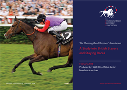 A TBA Study Into the Future of British Stayers and Staying Races