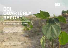 BCI QUARTERLY REPORT Q1 2018: 1 January – 31 March