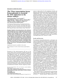 The T-Box Transcription Factor Eomesodermin Is Essential for AVE Induction in the Mouse Embryo