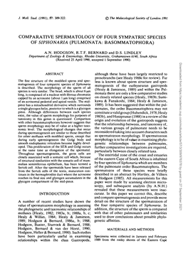 Comparative Spermatology of Four Sympatric Species of Siphonaria (Pulmonata: Basommatophora)