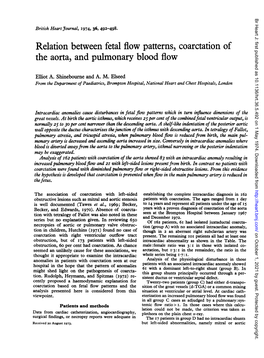 The Aorta, and Pulmonary Blood Flow