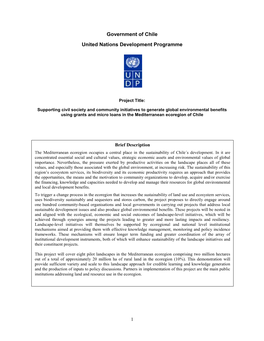 Government of Chile United Nations Development Programme