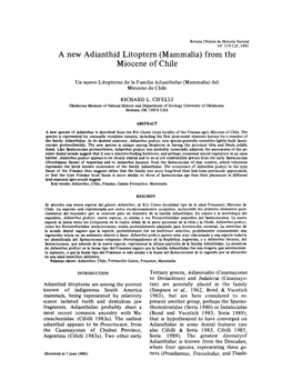 A New Adianthid Litoptern (Mammalia) from the Miocene of Chile