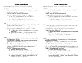 Biomolecule Activity AP Biology - Biomolecule Activity