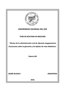 Universidad Nacional Del Sur