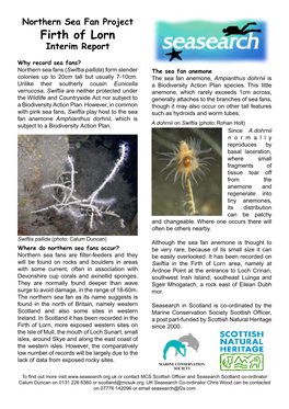 Firth of Lorn, Northern Sea Fan Survey