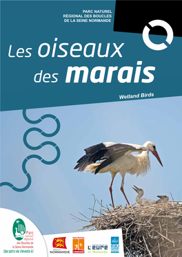 Les Oiseaux Des Marais