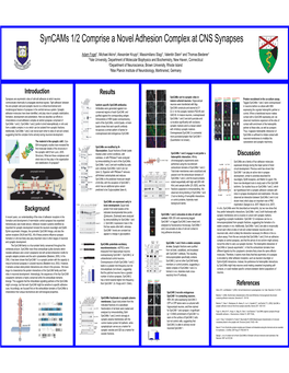 Syncams 1/2 Comprise a Novel Adhesion Complex at CNS Synapses