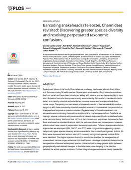 Teleostei, Channidae) Revisited: Discovering Greater Species Diversity and Resolving Perpetuated Taxonomic Confusions