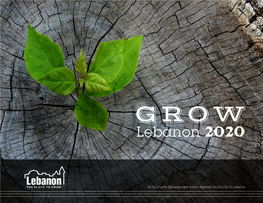 Grow Lebanon 2020 Plan Offers a Vision for Current and Future Generations and the Action Items Required to Make It Happen