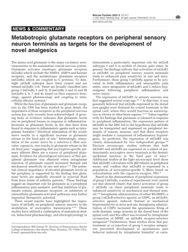 Metabotropic Glutamate Receptors on Peripheral Sensory Neuron Terminals As Targets for the Development of Novel Analgesics