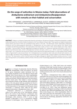 On the Verge of Extinction in Mexico Today: Field Observations of Ambystoma Ordinarium and Ambystoma Flavipiperatum with Remarks on Their Habitat and Conservation