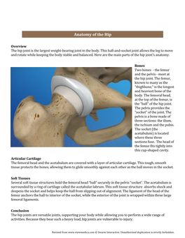 Anatomy of the Hip