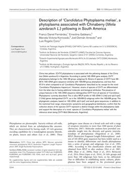 Description of 'Candidatus Phytoplasma Meliae', a Phytoplasma Associated with Chinaberry (Melia Azedarach L.) Yellowing in S