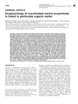 Ecophysiology of Uncultivated Marine Euryarchaea Is Linked to Particulate Organic Matter