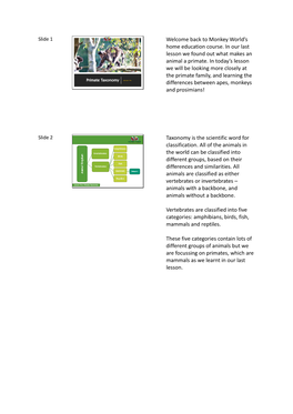 2.-Primate-Taxonomy-Handout-V2.Pdf